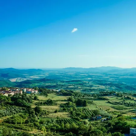 Uva Shared Pool Villa Roccastrada